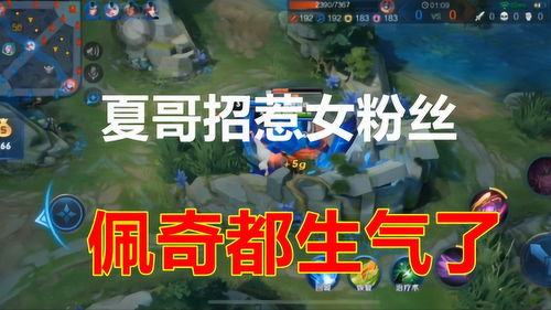 游戏解说夏,畅游游戏世界的独特视角