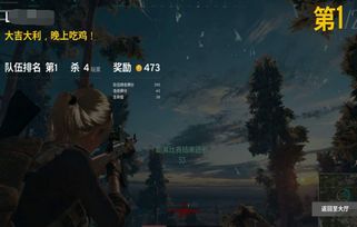 老y游戏,穿越时空的奇幻冒险之旅