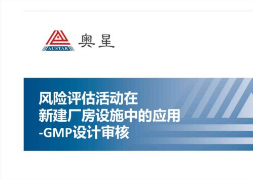 游戏中GMP,打造高品质虚拟世界之旅