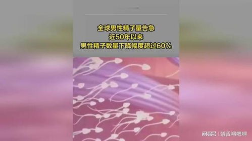 精子量游戏,揭秘生育奥秘的趣味探索之旅