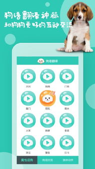 刷微狗系统安卓,智能出行新体验