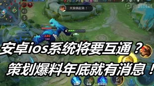 王者安卓和ios系统,安卓与iOS系统间