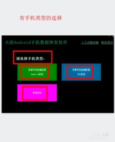 安卓系统新旧手机数据,揭秘数据迁移与兼容