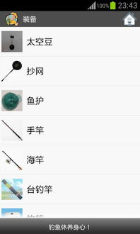 钓鱼攻略系统和安卓,安卓平台上的钓鱼达人