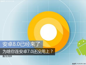 安卓系统最大问题,安全与性能的完美平衡