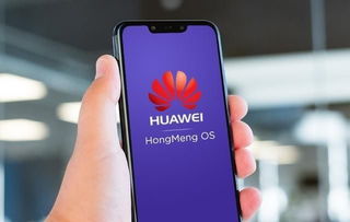 安卓系统的力量英语,力量与创新的完美融合