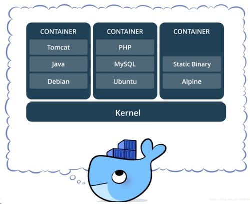 docker跑安卓手机系统,基于Dock