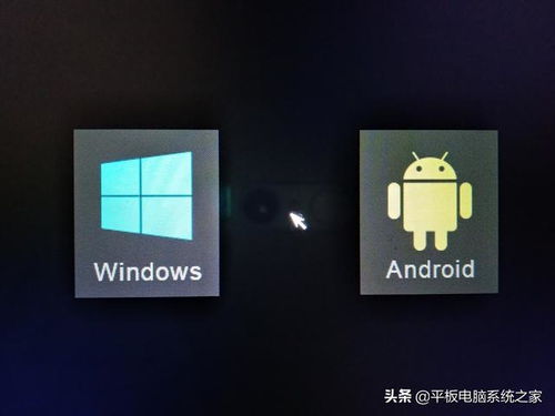 安卓加windows双系统,安卓与Win