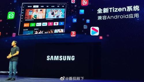tizen系统装安卓app,跨平台应用部