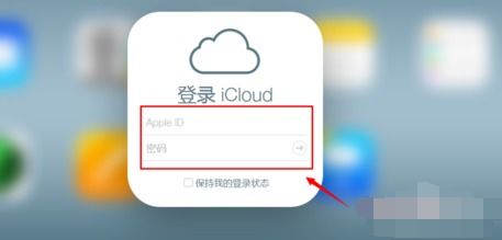 iphone怎么查看安卓系统,轻松查看安
