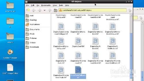安卓远程linux系统 apk,便捷的移